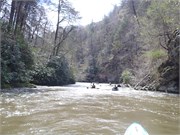 Spring Creek 40
